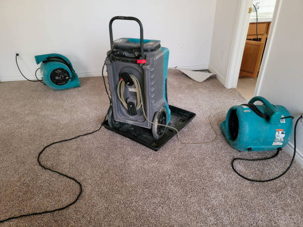Best Ceiling water damage repair  in Burns, OR