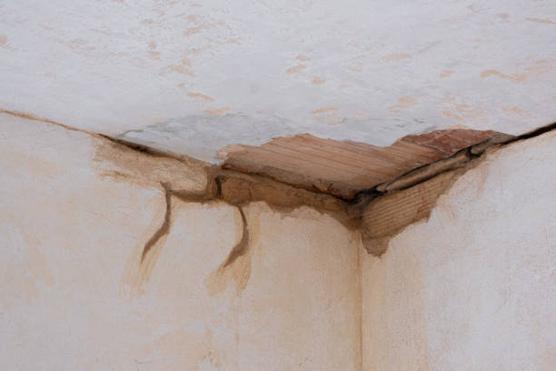 Best Flood damage cleanup  in Burns, OR