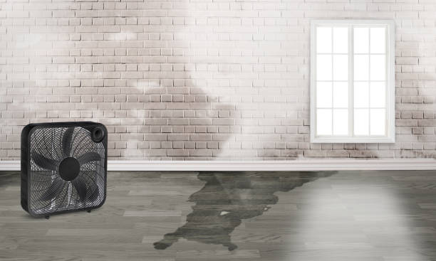 Best Professional water damage repair  in Burns, OR