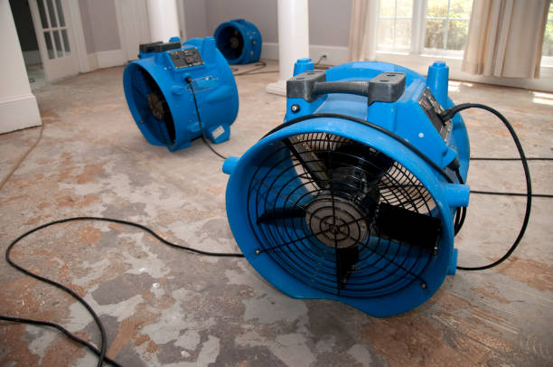 Professional Water damage restoration in Burns, OR
