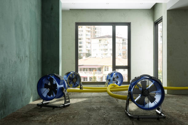 Best Mold removal after water damage  in Burns, OR